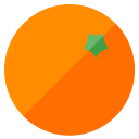 Orange Icon 128x128