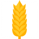 Wheat Icon 128x128