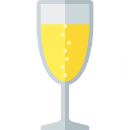 Champagne Glass Icon 256x256