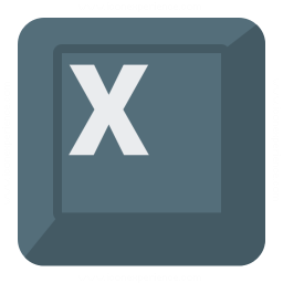 Keyboard Key X Icon 256x256