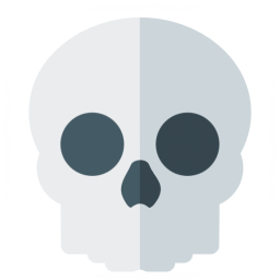 Skull Icon 256x256