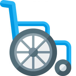 Wheelchair Icon 256x256