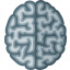 Brain Icon 64x64