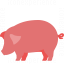 Pig Icon 64x64