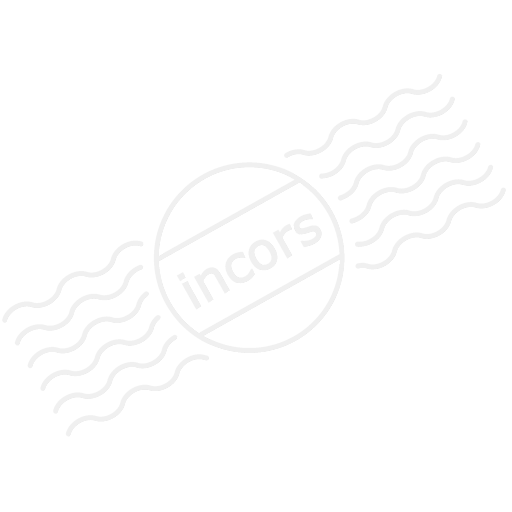 Badminton Racket Icon