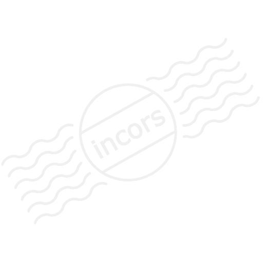 Data Copy Icon