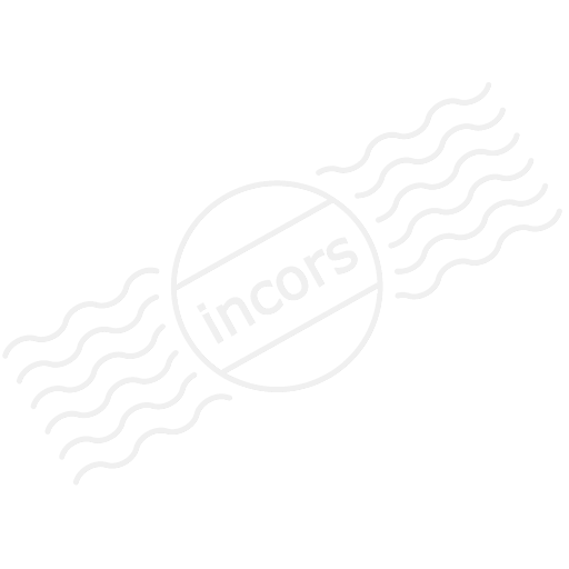 Spider 2 Icon