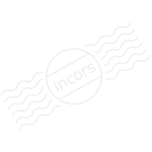 Window Application Enterprise Icon