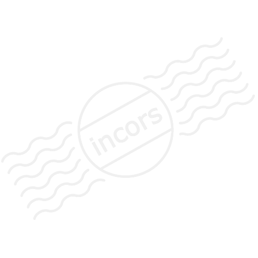 Workstation Network Icon