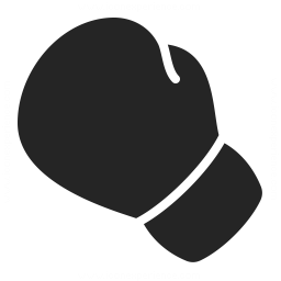 Boxing Glove Icon 256x256