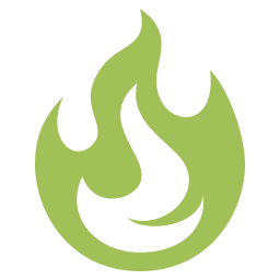 Fire Icon 256x256