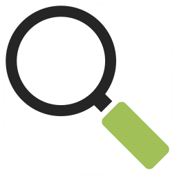 Magnifying Glass Icon 256x256