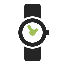 Wristwatch Icon 256x256