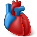 Heart Organ Icon 128x128