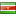 Flag Suriname Icon 16x16
