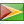 Flag Guyana Icon 24x24