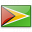 Flag Guyana Icon 32x32