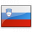 Flag Slovenia Icon 32x32