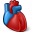 Heart Organ Icon 32x32