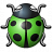 Bug Green Icon