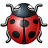 Bug Red Icon