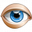 Eye Blue Icon