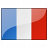 Flag France Icon