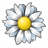 Flower White Icon
