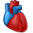 Heart Organ Icon