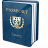 Passport Blue Icon