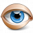 Eye Blue Icon 48x48