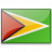 Flag Guyana Icon 48x48