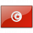 Flag Tunisia Icon 48x48