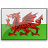 Flag Wales Icon 48x48