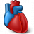 Heart Organ Icon 48x48