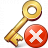 Key Error Icon 48x48