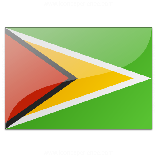 Flag Guyana Icon