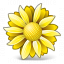 Flower Yellow Icon 64x64