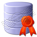 Data Certificate Icon