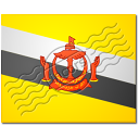 Flag Brunei Icon