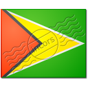 Flag Guyana Icon