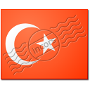 Flag Turkey Icon