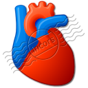 Heart Organ Icon