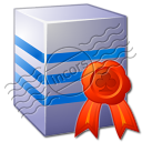 Server Certificate Icon