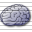 Brain Icon 32x32