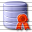 Data Certificate Icon 32x32