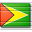 Flag Guyana Icon 32x32
