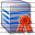 Server Certificate Icon 32x32