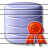 Data Certificate Icon 48x48