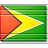 Flag Guyana Icon 48x48